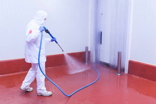 Boat and Dock Cleaning in Harwood Heights, IL