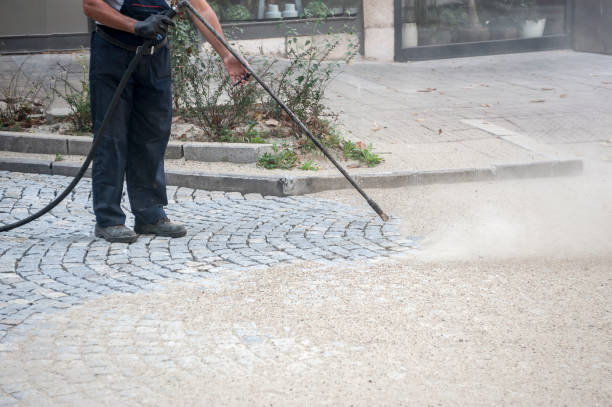 Professional Pressure Washing Services in Harwood Heights, IL